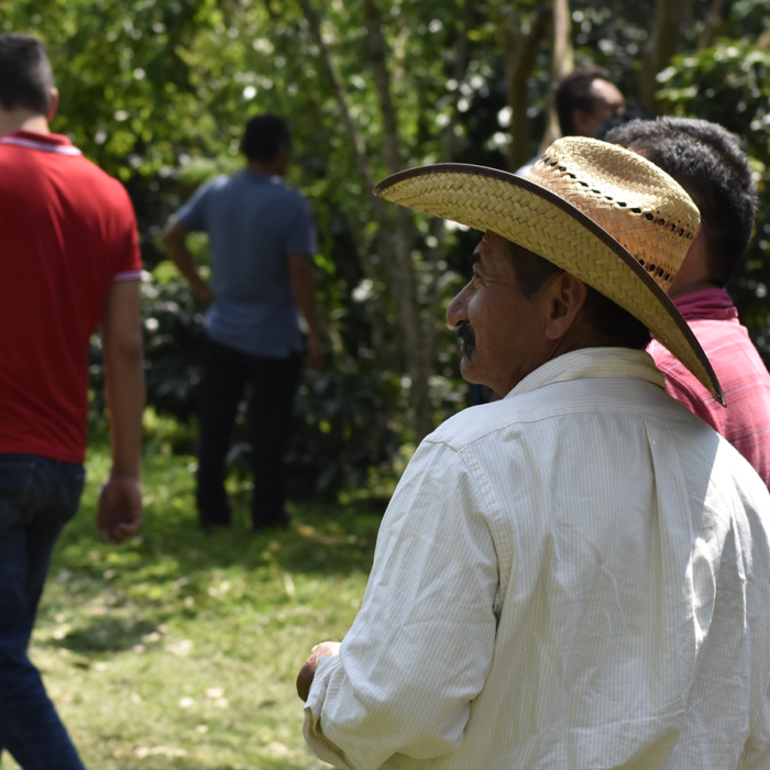 Chiapas Coffee Mexico